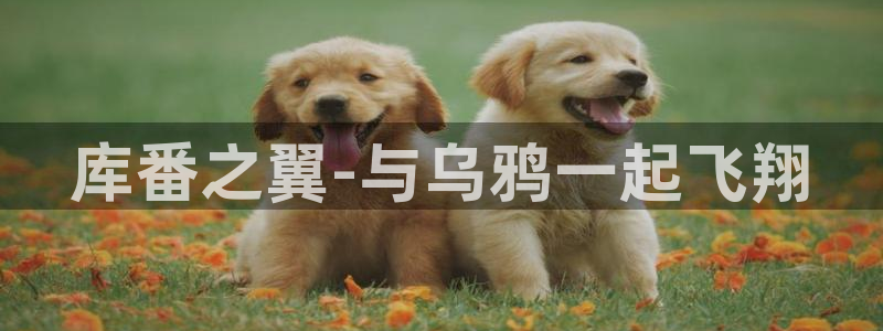 漫画天堂漫画网站