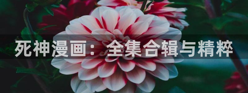 天堂漫画免费入口怎么下载安装：死神漫画：全集合辑与精粹