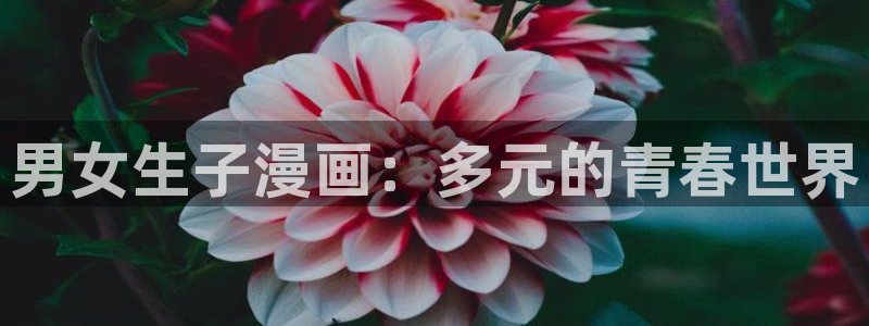 美丽新世界豪承天堂漫画：男女生子漫画：多元的青春世界